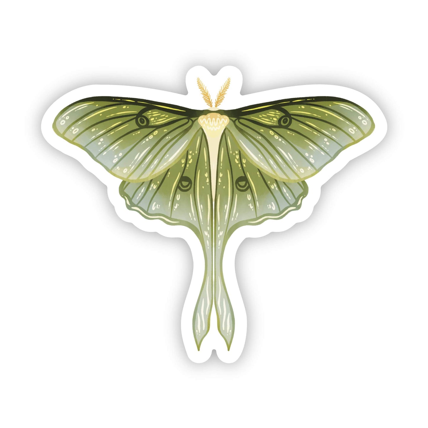 luna moth sticker