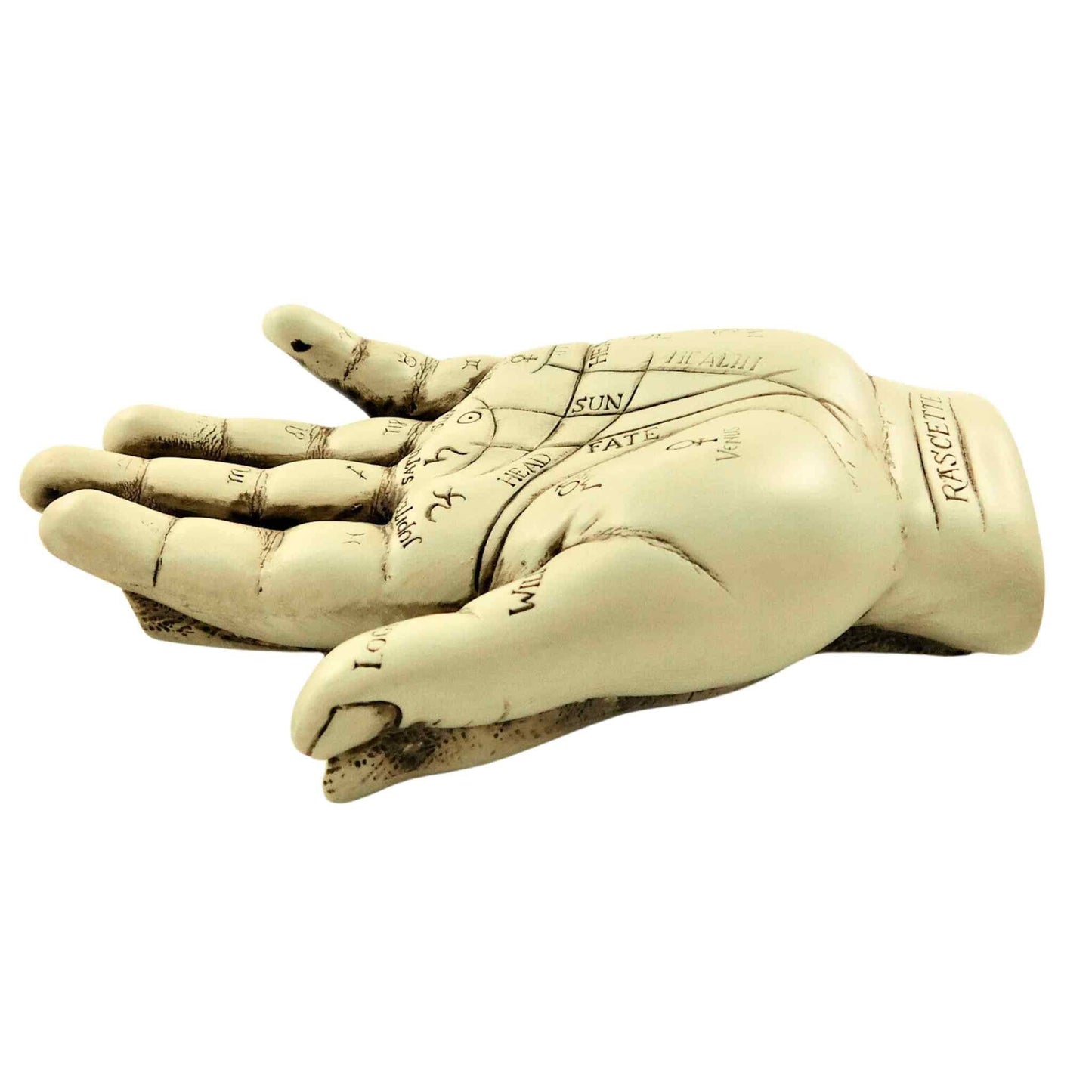 palmistry hand kit