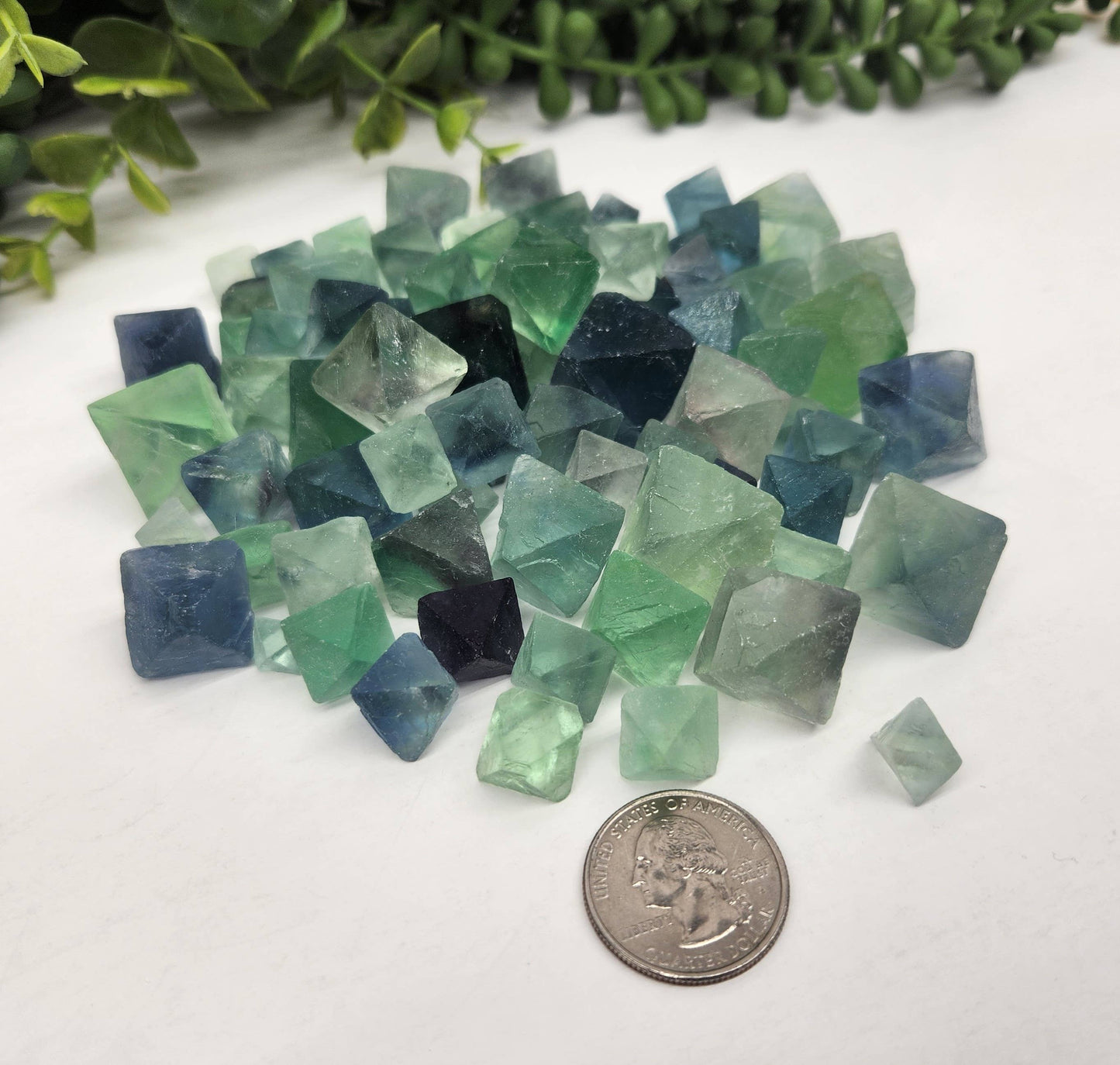 fluorite octahedrons