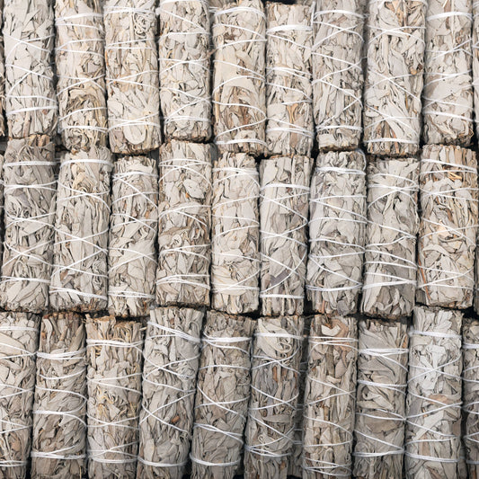 California white sage (Salvia apiana) bundles