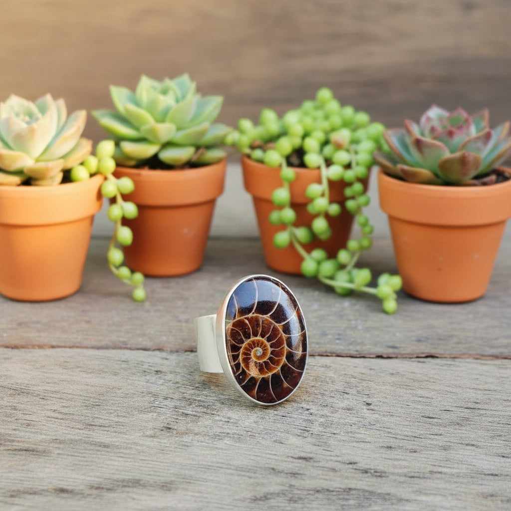 ammonite ring in sterling silver