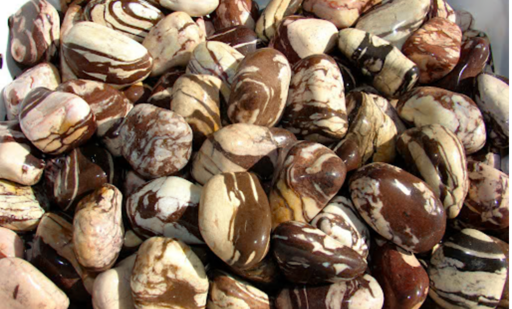 zebra jasper tumbles