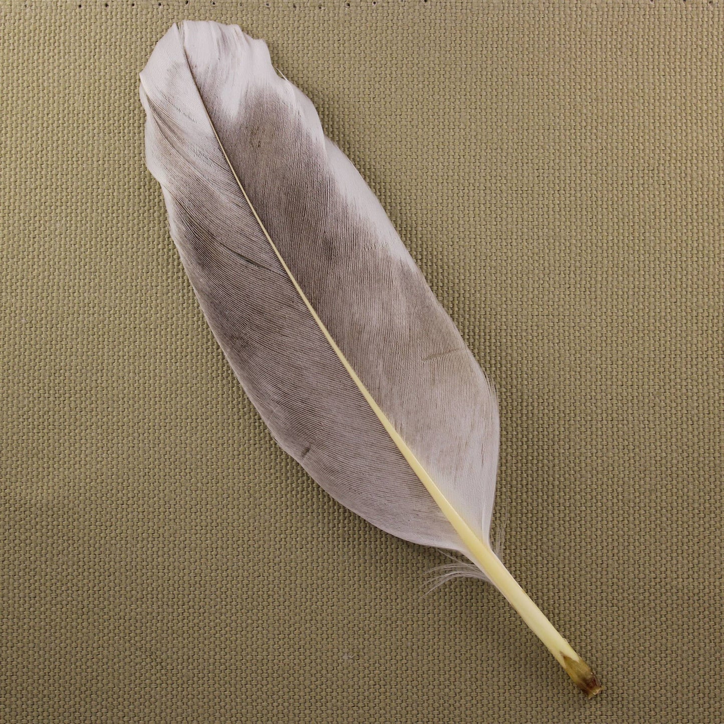 house blessing/space clearing kit