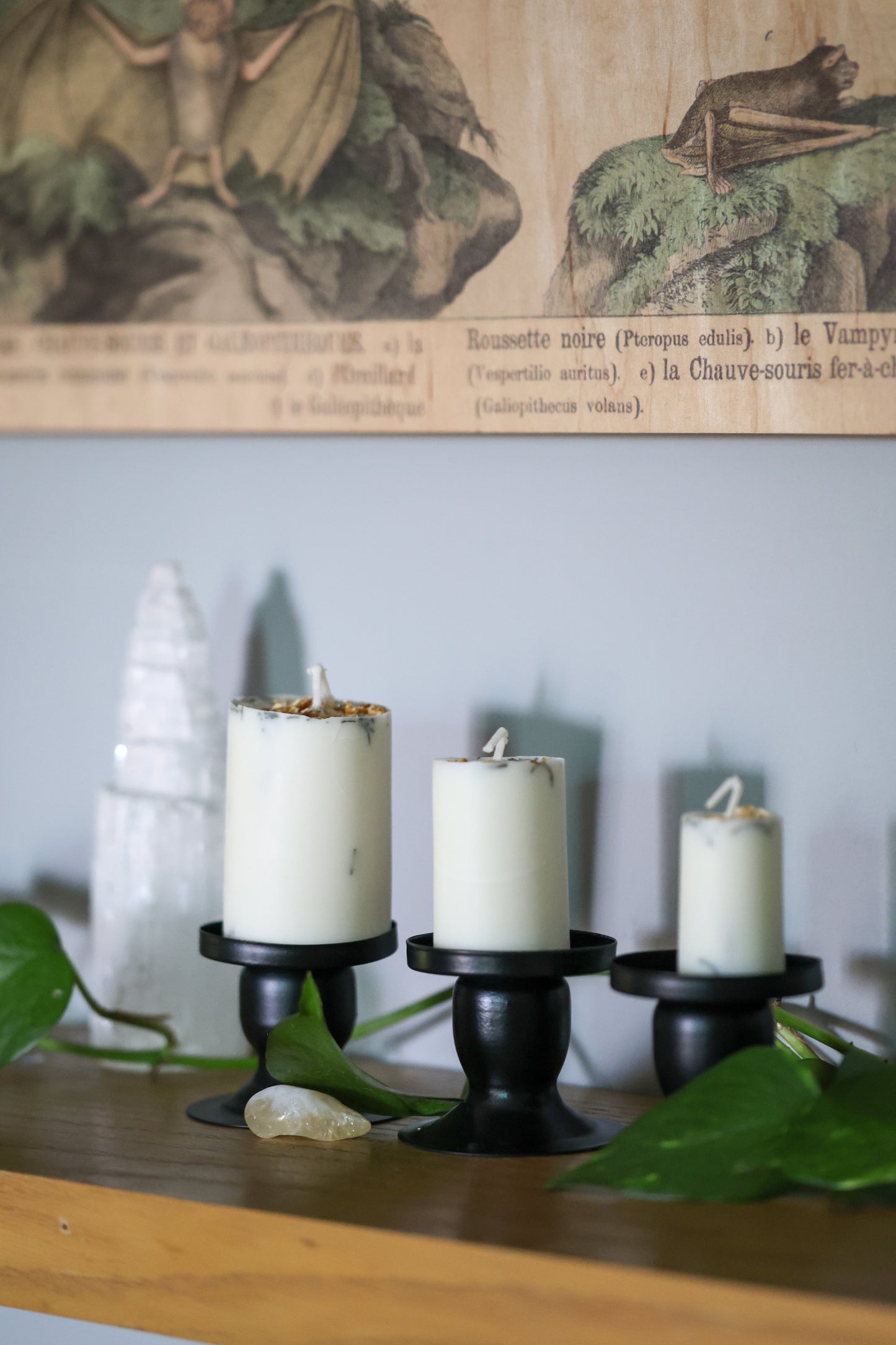 altar candles by Lesley Frances of Stellar Starlight Astrology