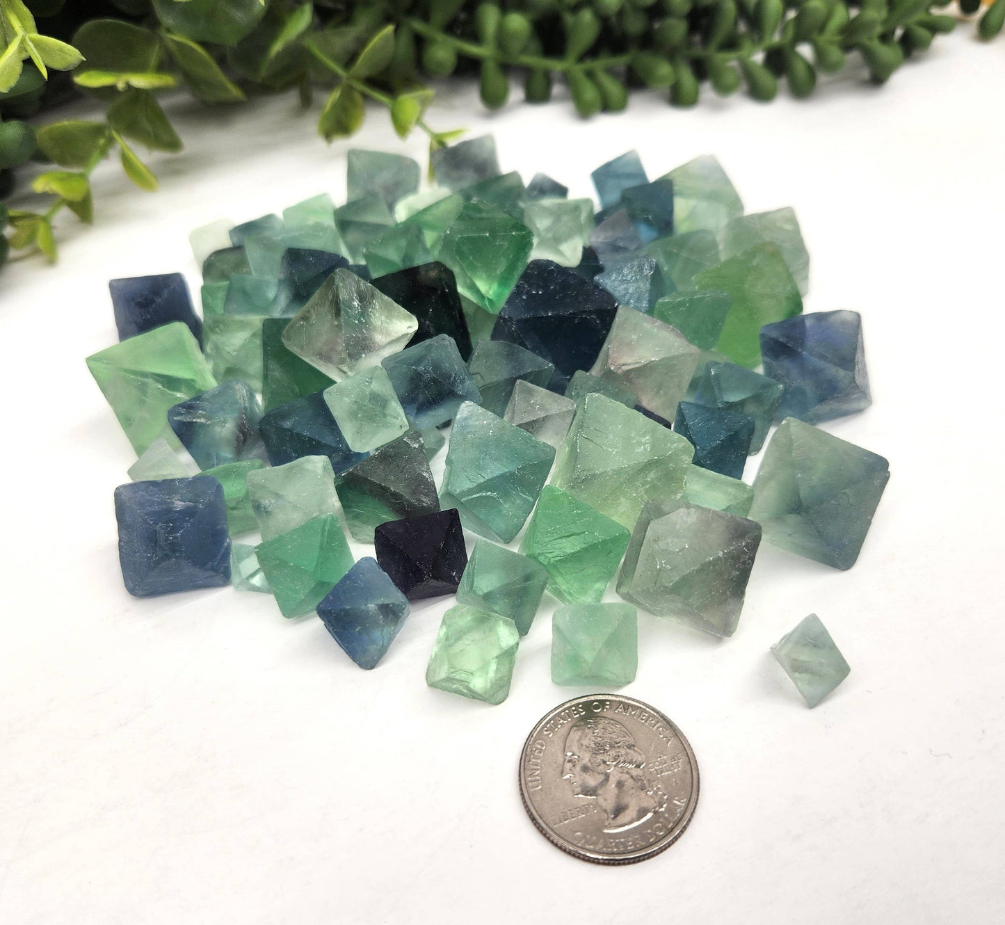 fluorite octahedrons