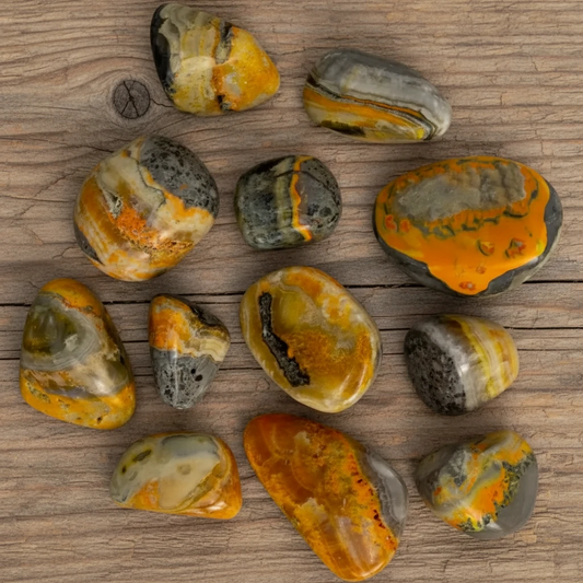 bumblebee jasper tumbles