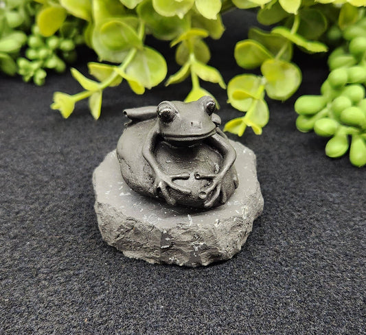 Frog Shungite Figurine