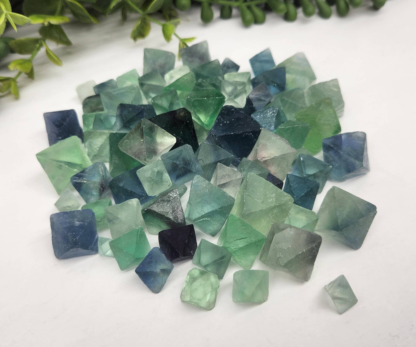 fluorite octahedrons