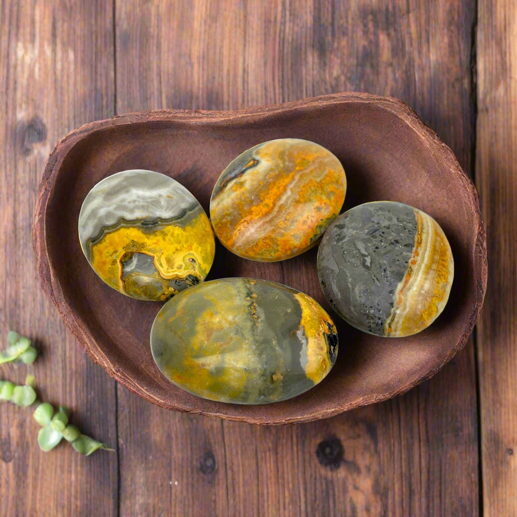 bumblebee jasper palm stone