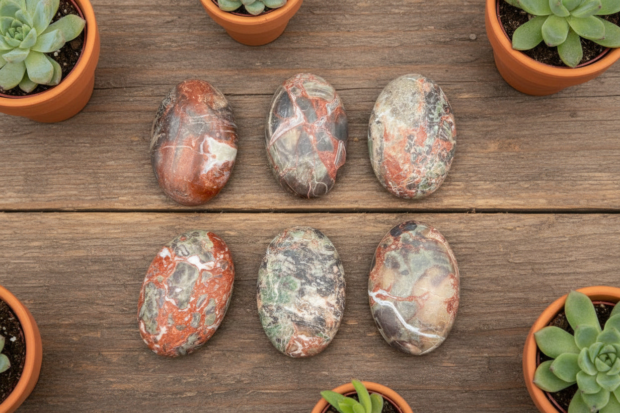 money agate palm stone