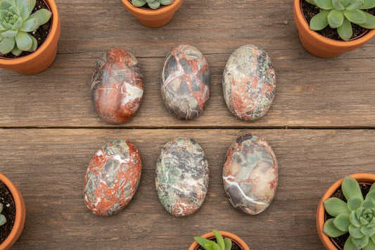 money agate palm stone