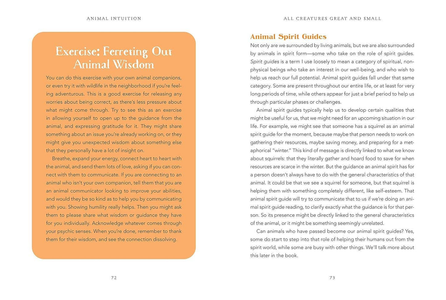 Animal Intuition: Communicating with Pets, Spirits, & Energy by Thea Strom