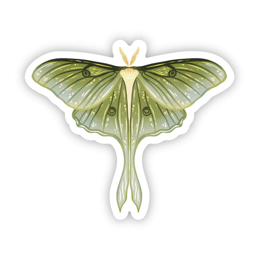 luna moth sticker