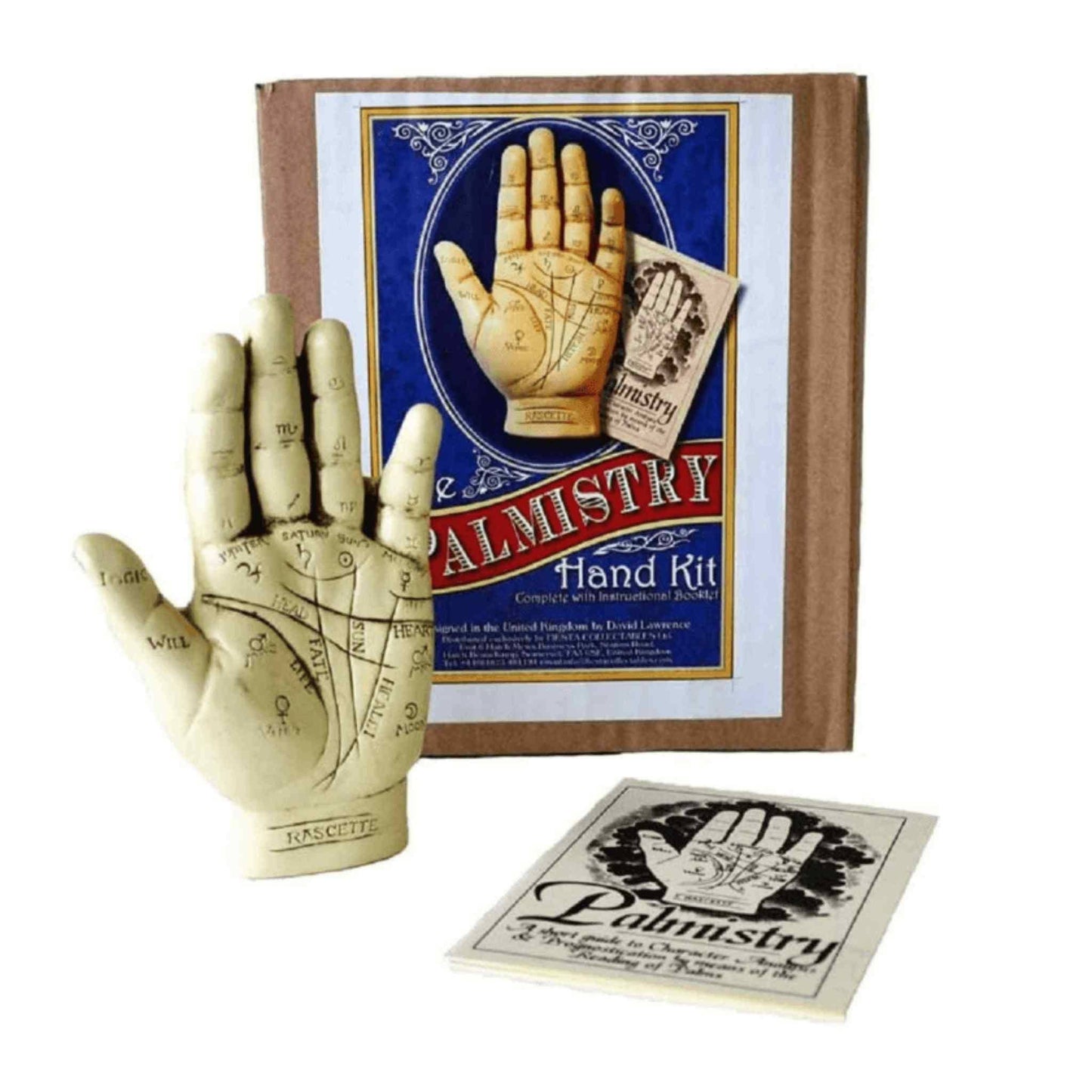 palmistry hand kit