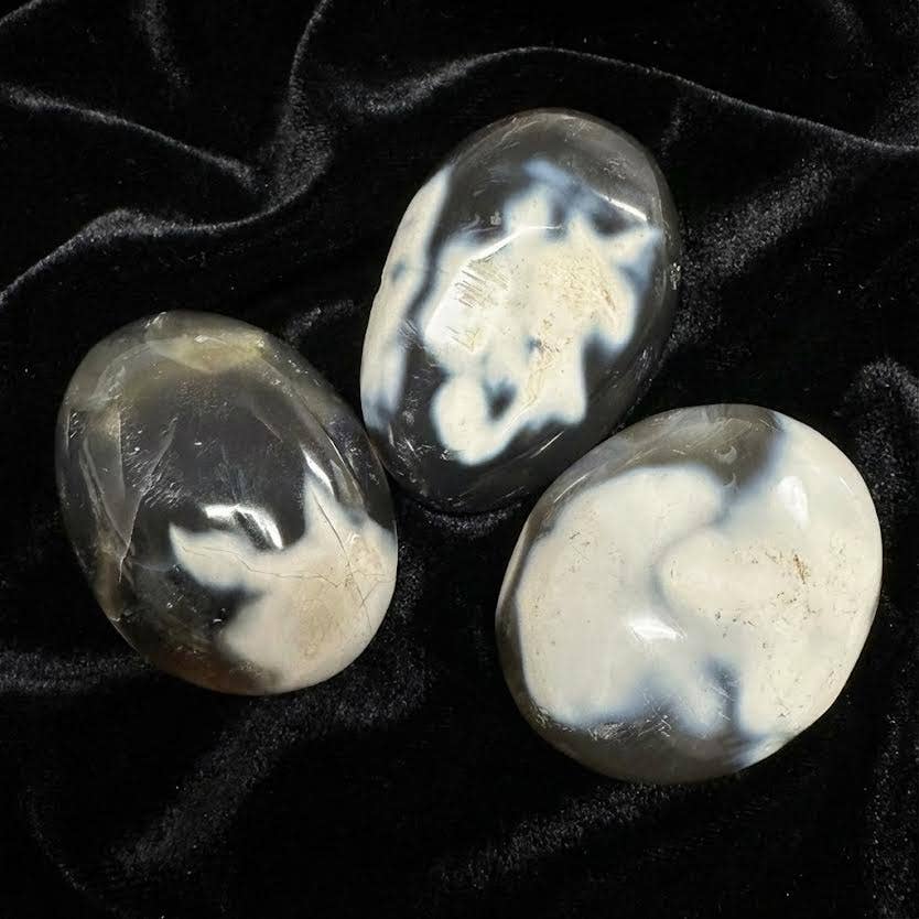 orca agate palm stone