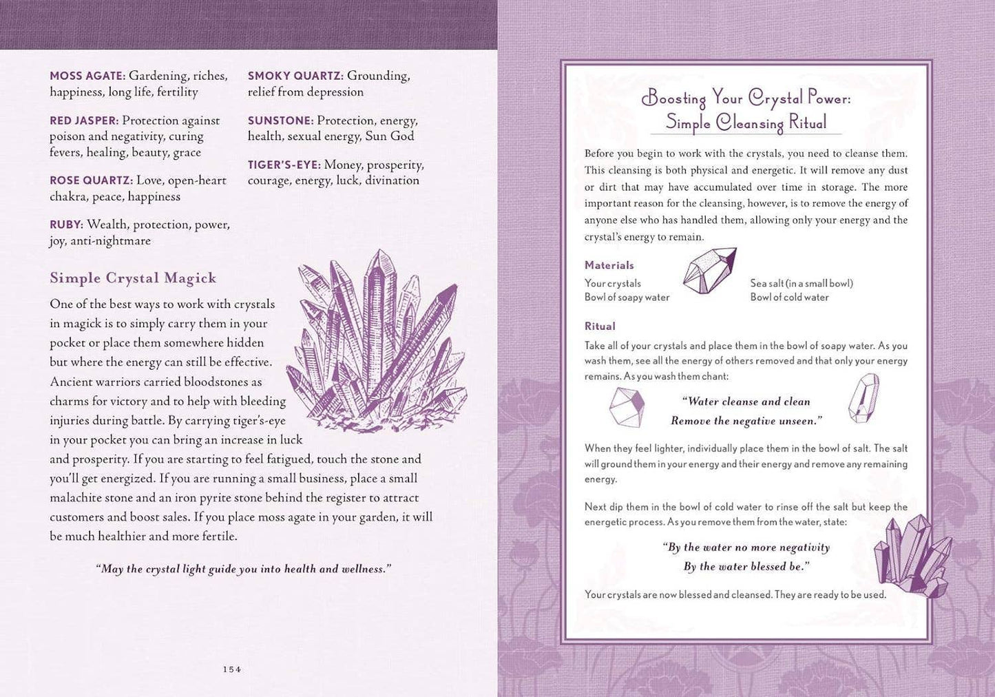 The Good Witch's Perpetual Planner by Shawn Robbins