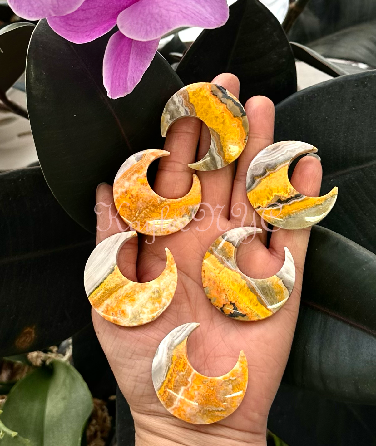 bumblebee jasper moons