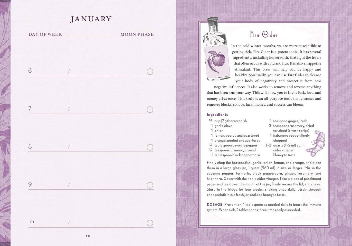 The Good Witch's Perpetual Planner by Shawn Robbins