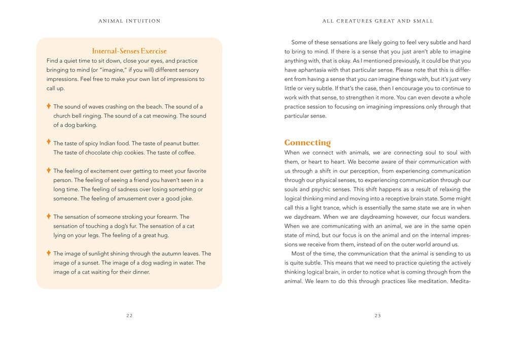 Animal Intuition: Communicating with Pets, Spirits, & Energy by Thea Strom