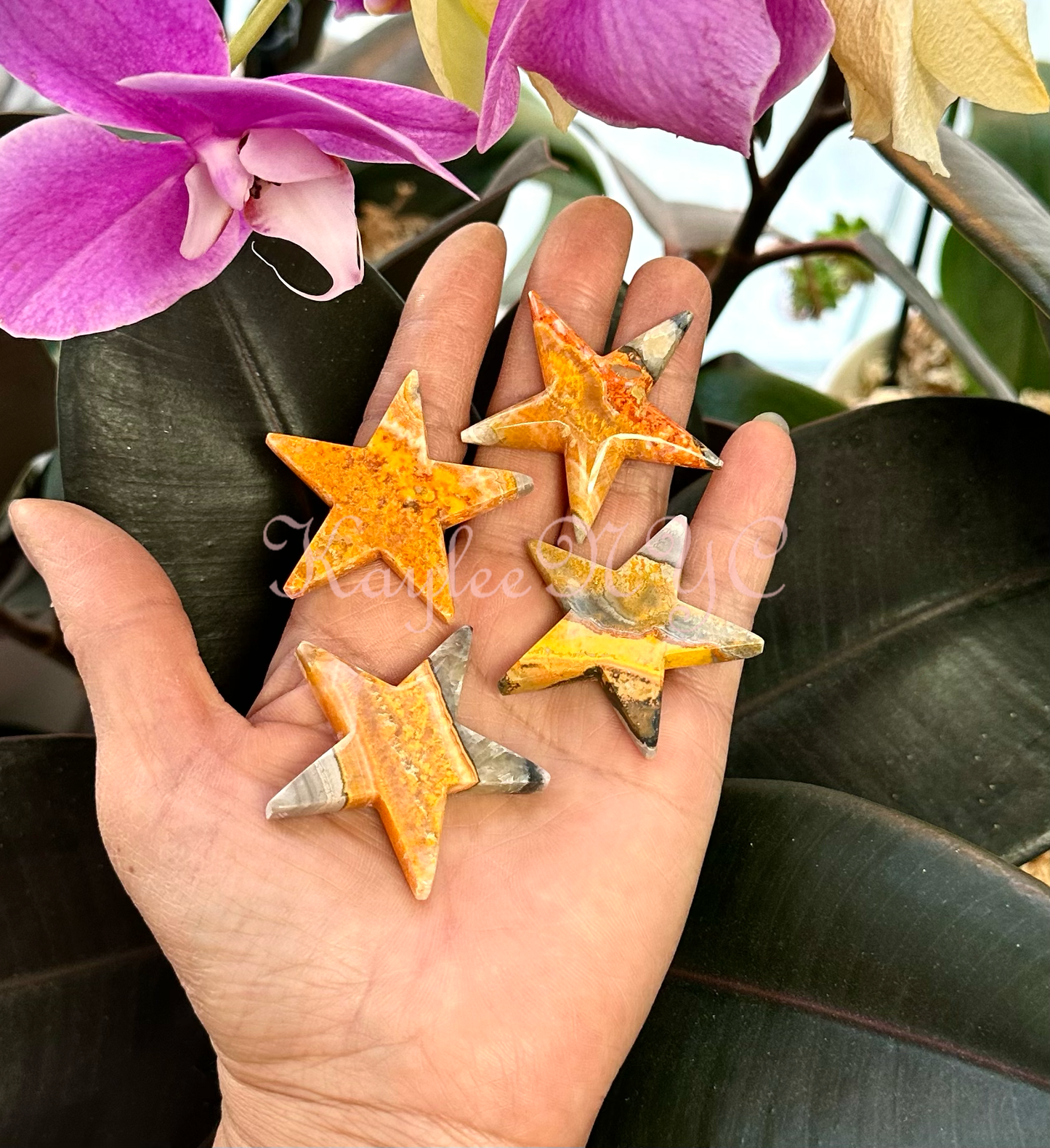 bumblebee jasper stars