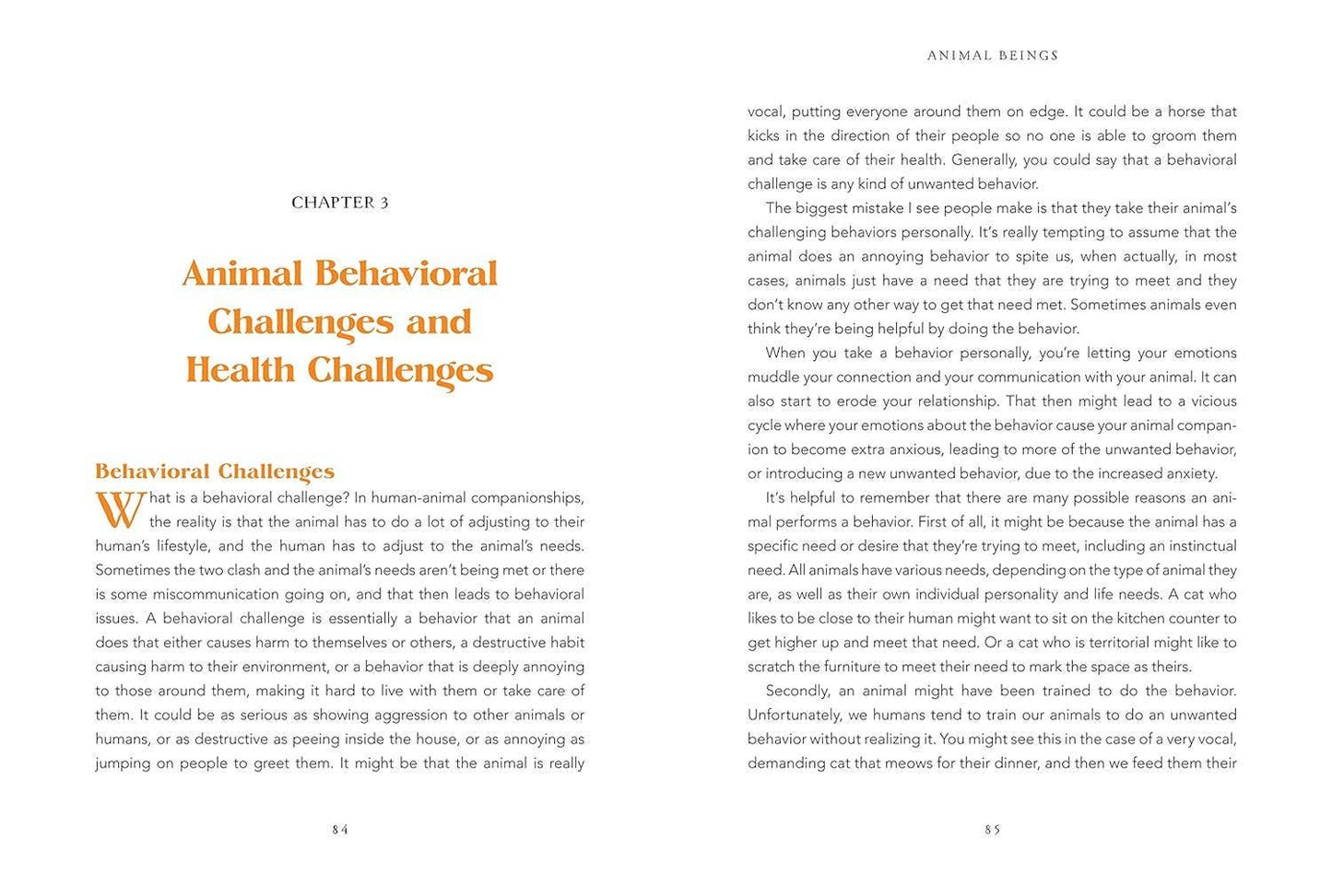 Animal Intuition: Communicating with Pets, Spirits, & Energy by Thea Strom
