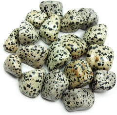 Dalmatian jasper tumbles