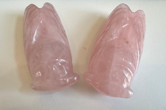 rose quartz cicadas