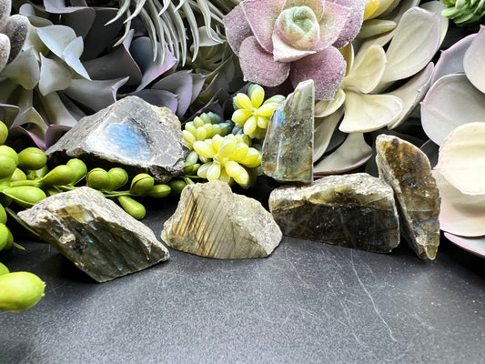 labradorite raw pieces with polished face