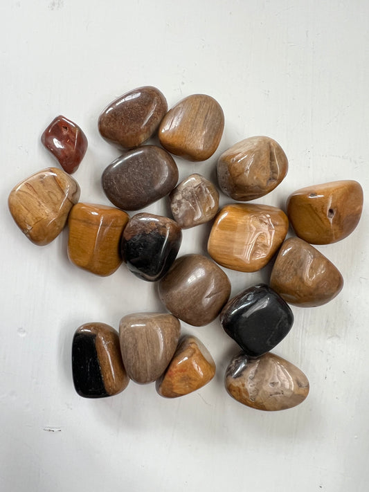 petrified wood tumbles