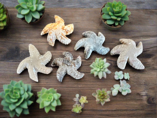 starfish soapstone figurine