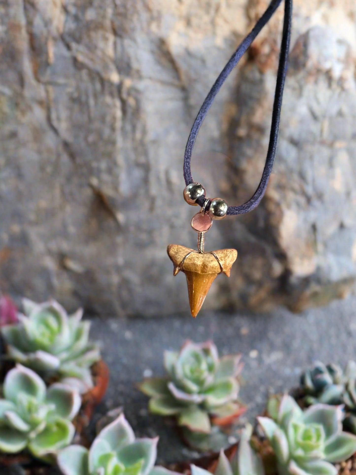 shark tooth necklace