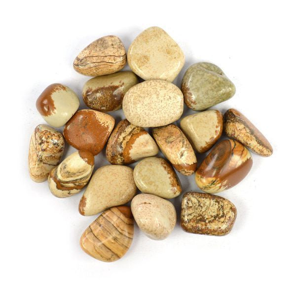 picture jasper tumbles