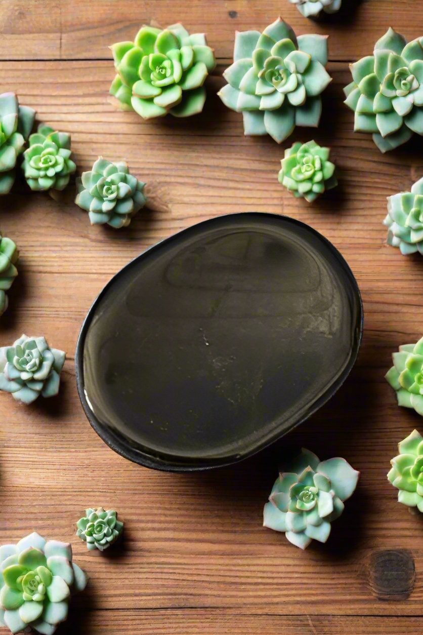 shungite palm stones