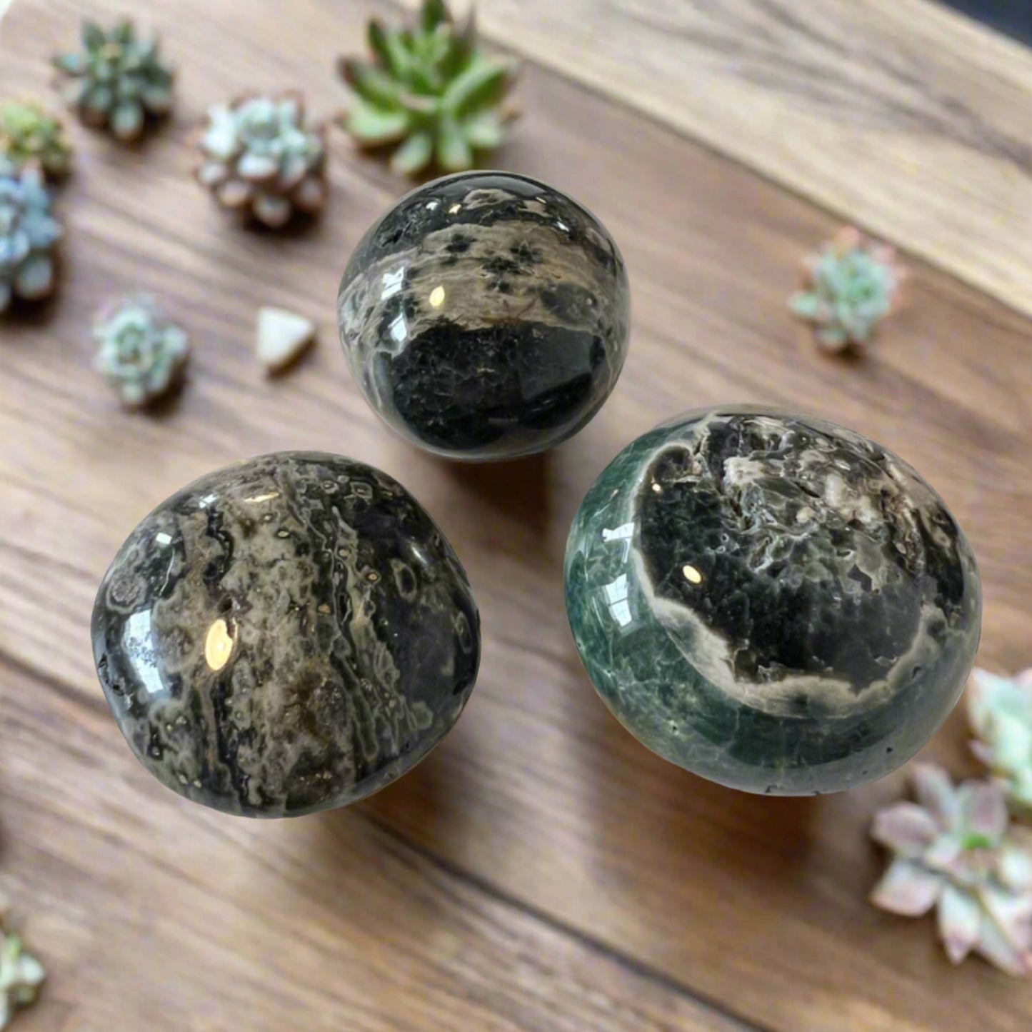 ocean jasper palm stones