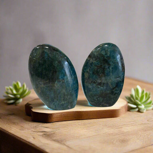 apatite free-forms