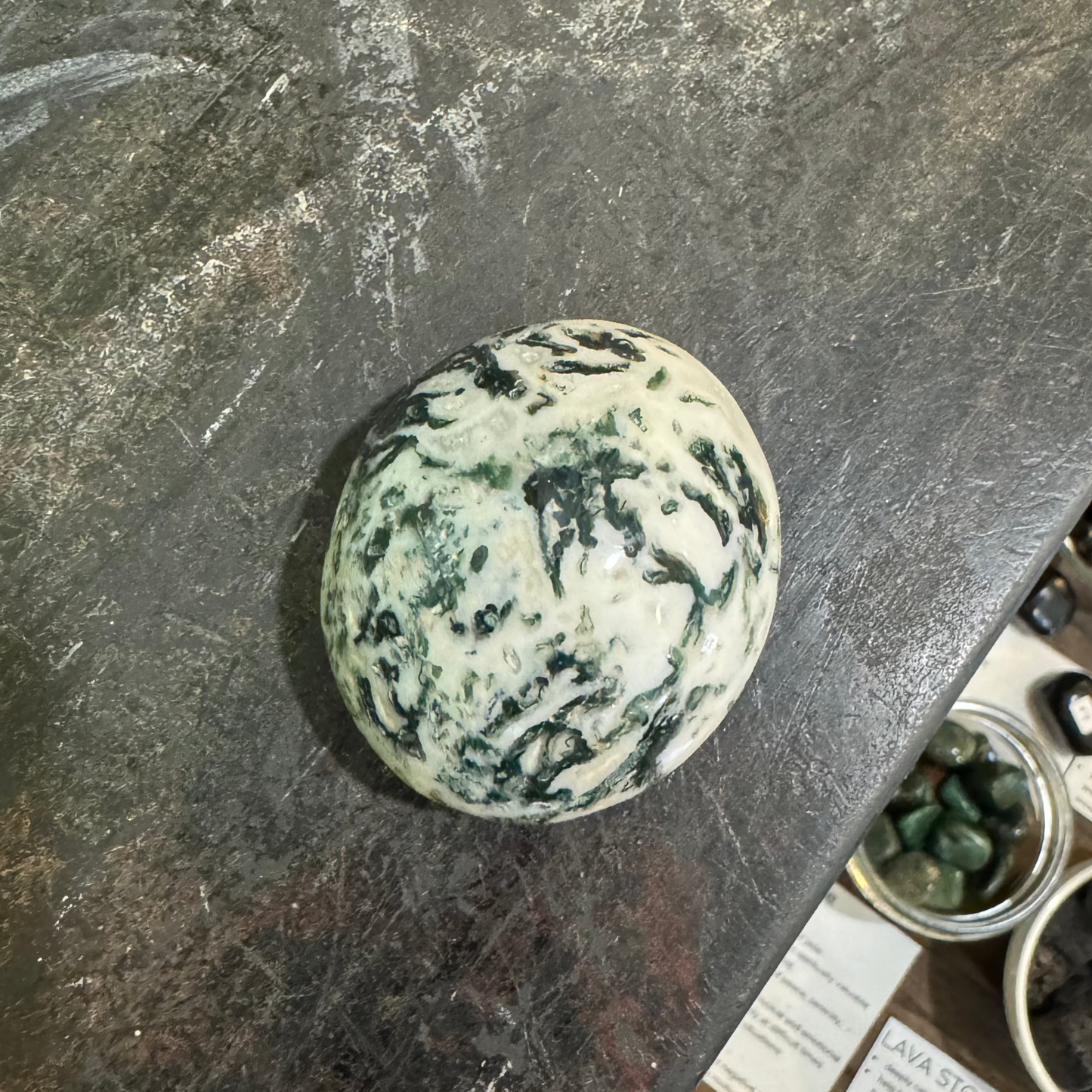 tree agate palm stone