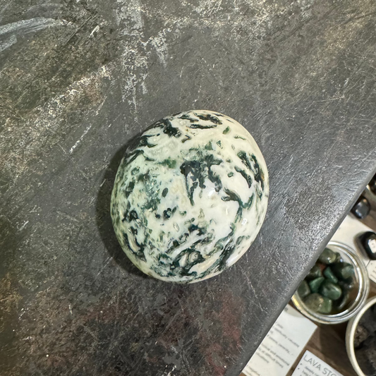 tree agate palm stone