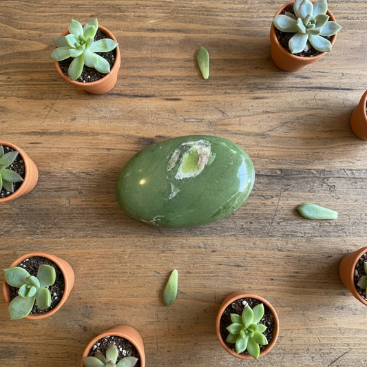 nephrite jade palm stones