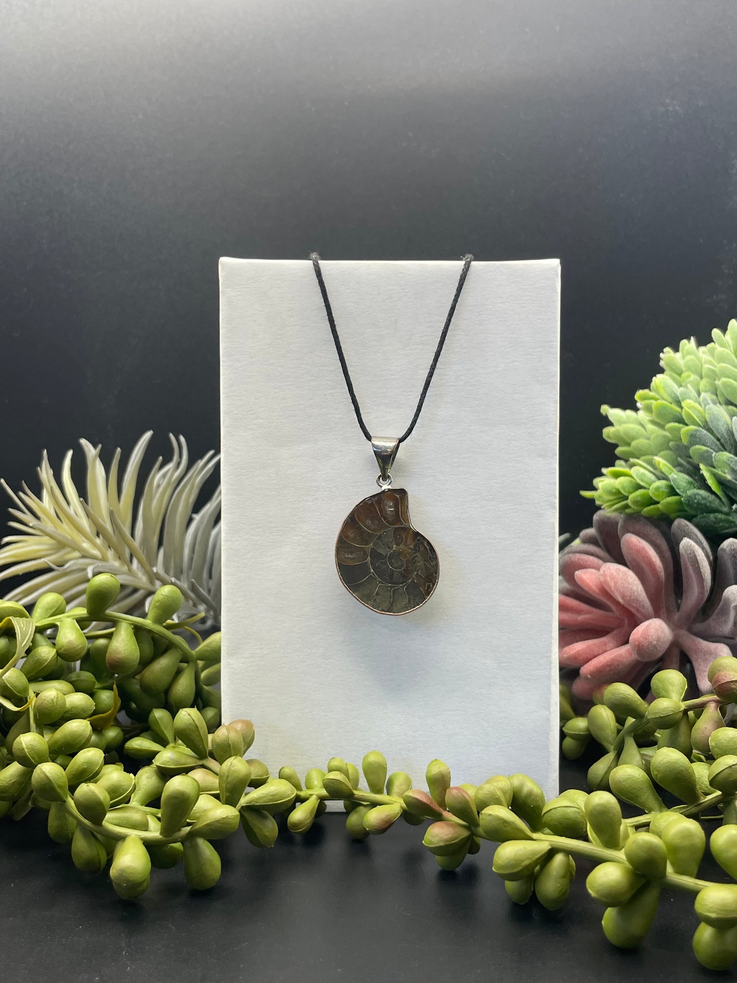 ammonite pendant