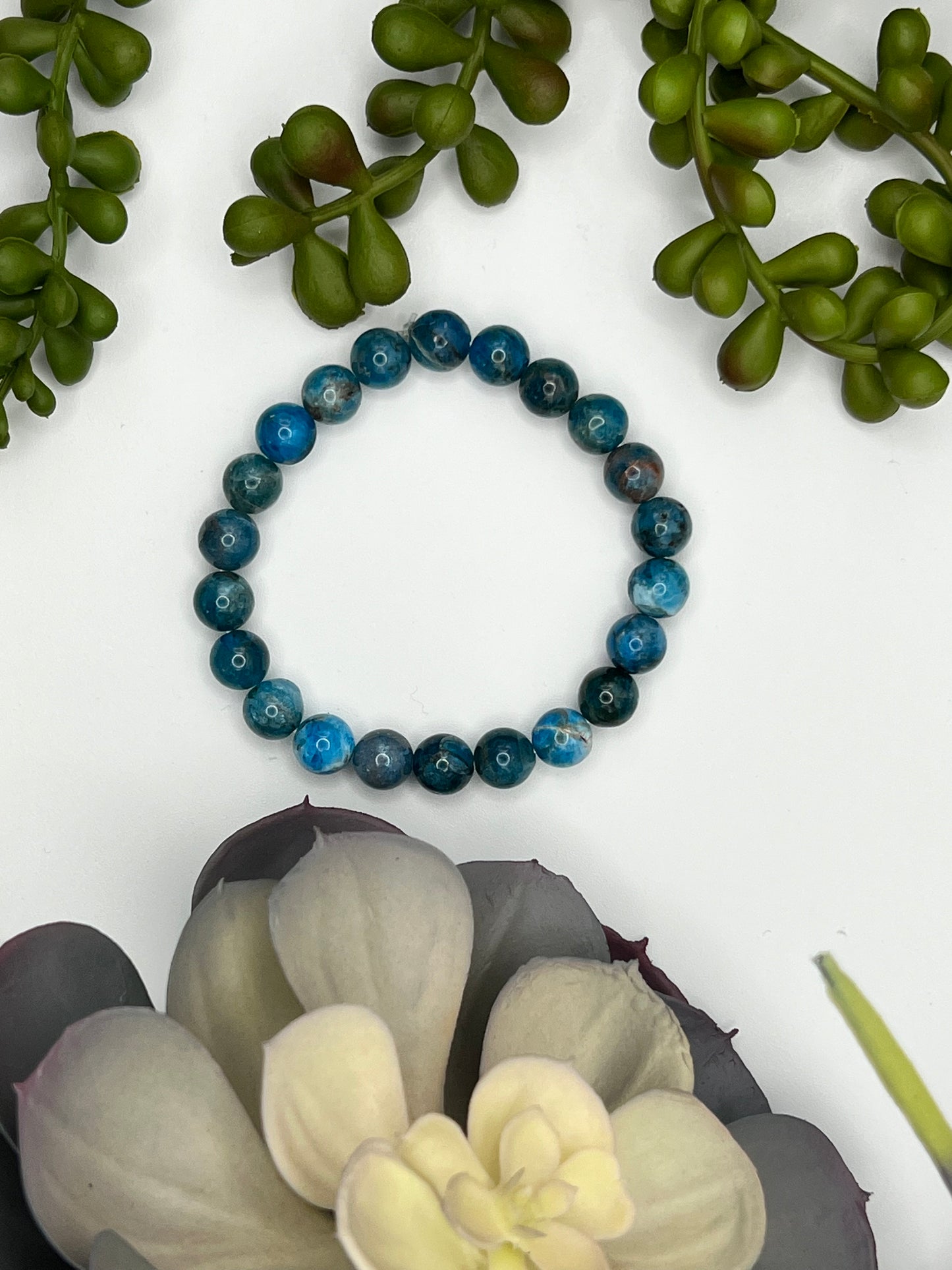 apatite beaded bracelet (8mm beads)