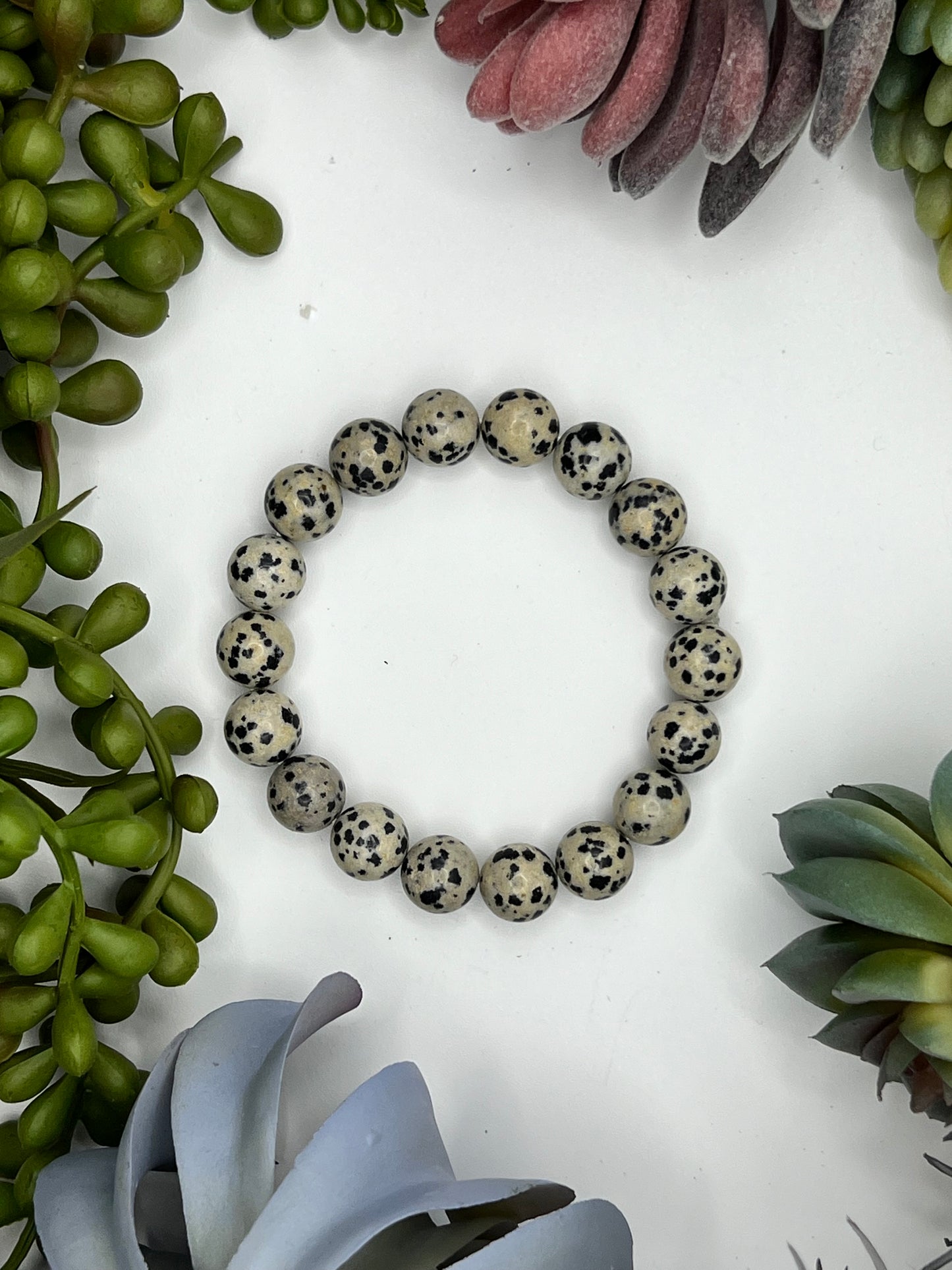 dalmatian jasper beaded bracelet