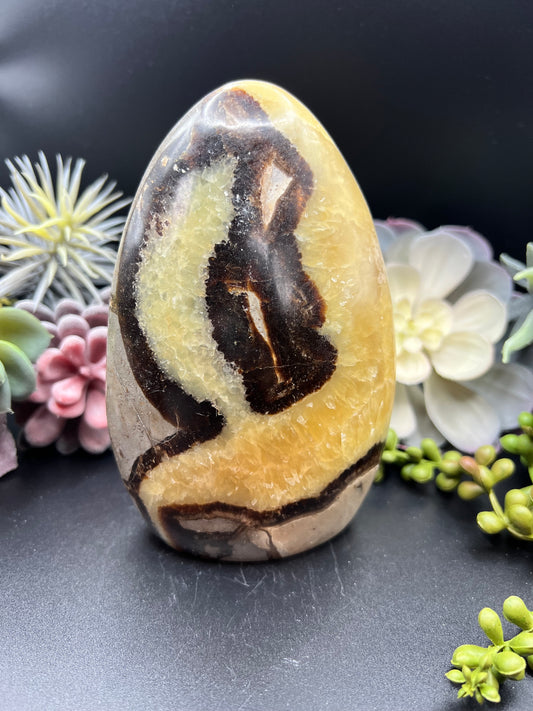 septarian freeform (large)