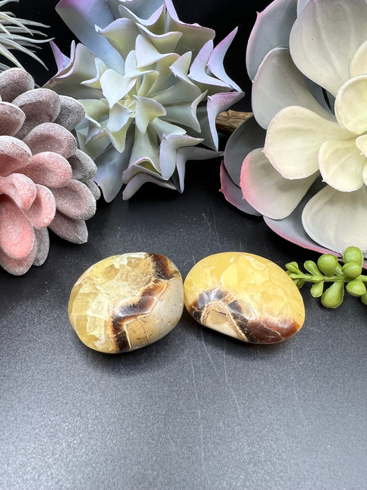 septarian palm stone