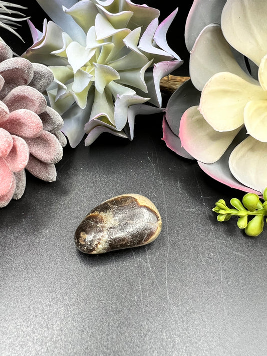 septarian tumbles