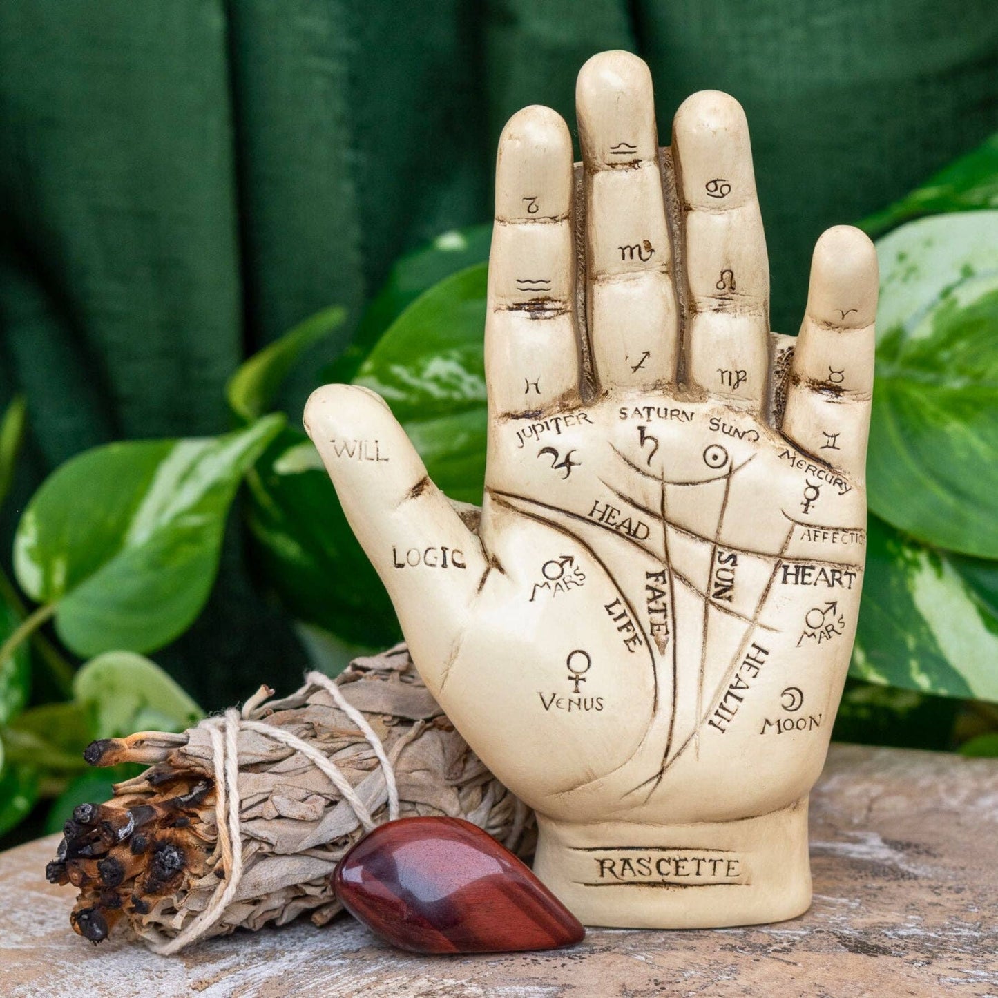palmistry hand kit