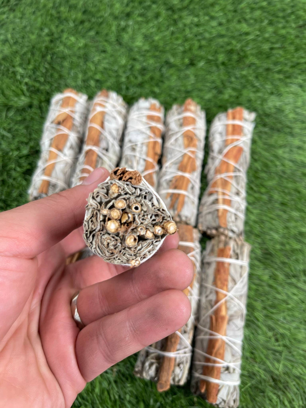 white sage and cinnamon herb bundle
