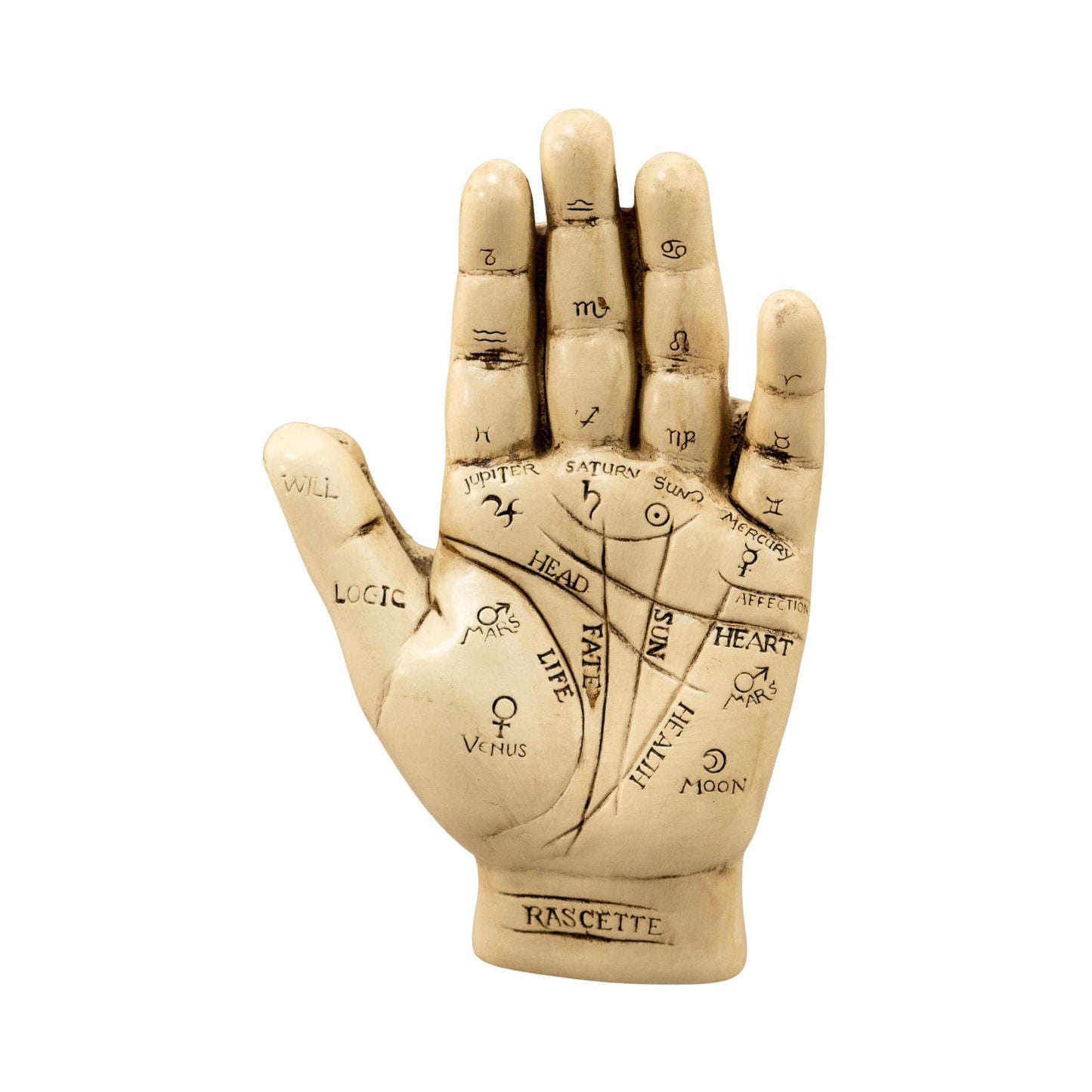 palmistry hand kit