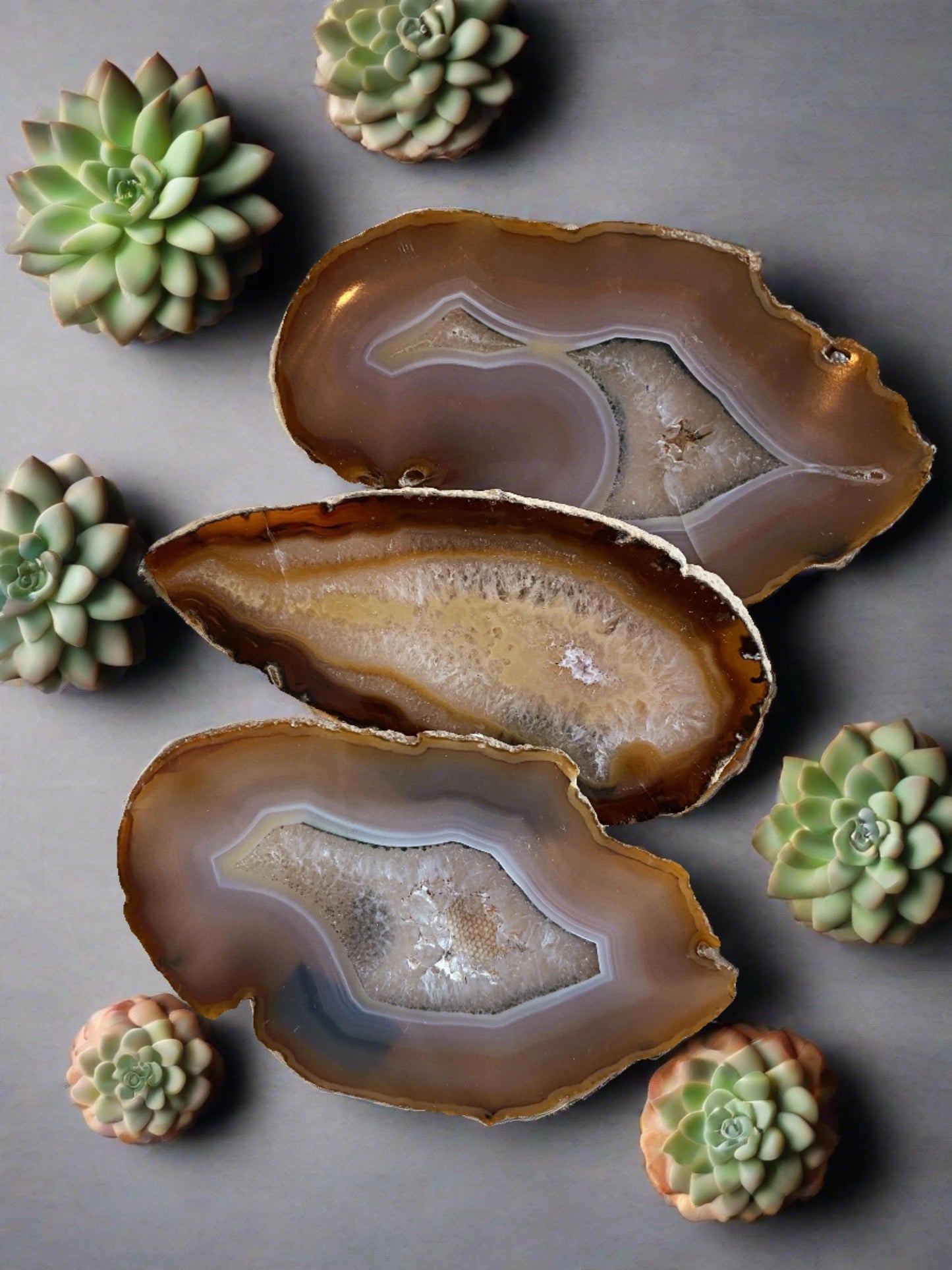 agate slice