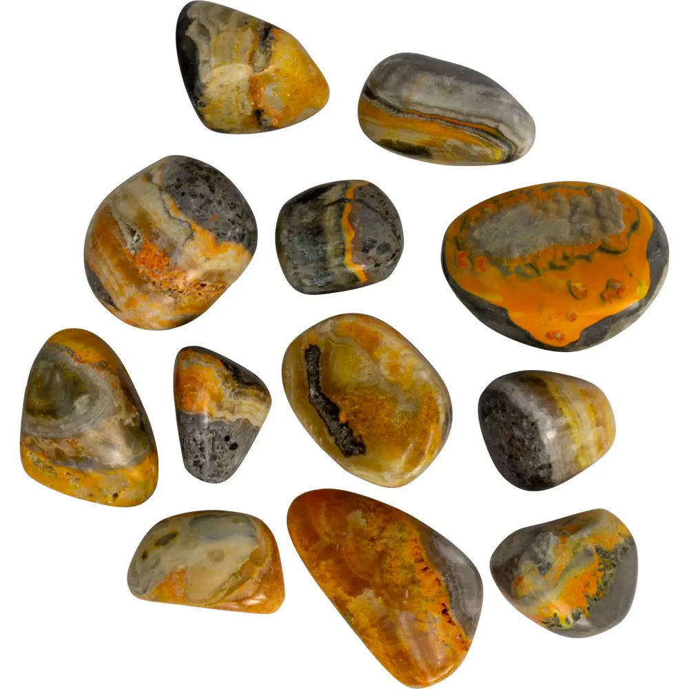 bumblebee jasper tumbles