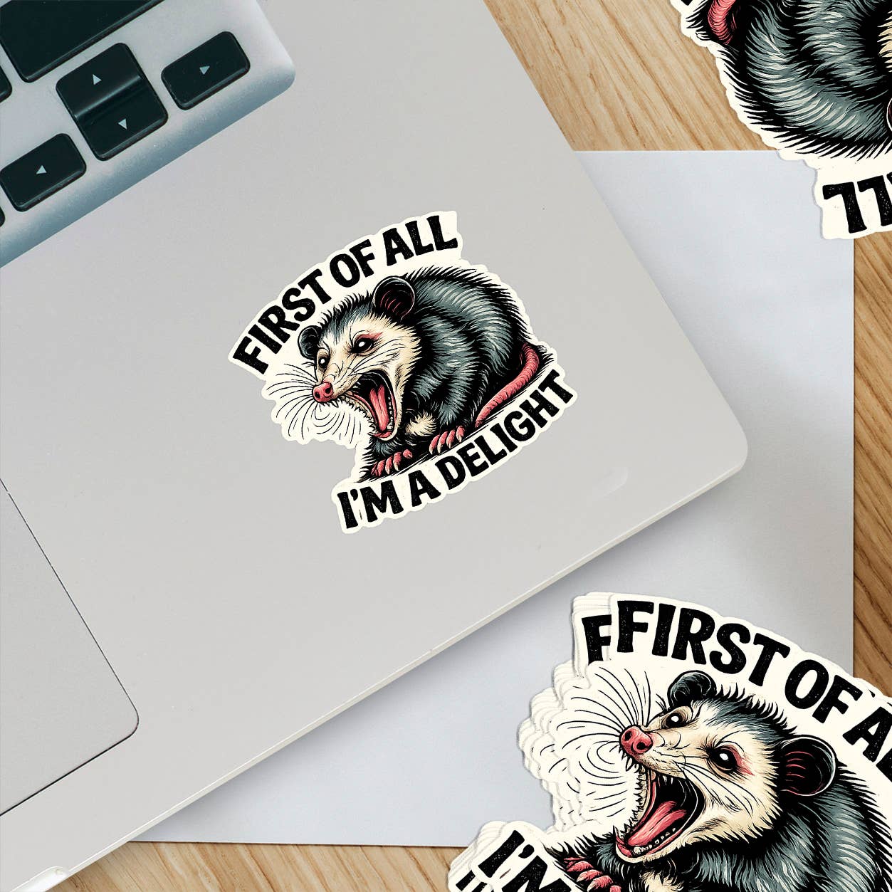 First of All I’m a Delight Funny Possum Vinyl Sticker